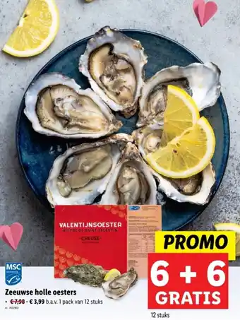 Lidl Zeeuwse holle oesters aanbieding