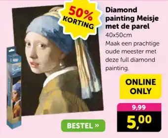 Boekenvoordeel Diamond painting Meisje met de parel aanbieding