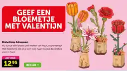 Boekenvoordeel Robotime bloemen aanbieding