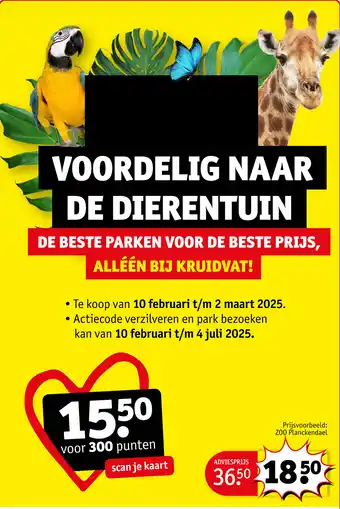 Kruidvat Zoo Planckendael aanbieding