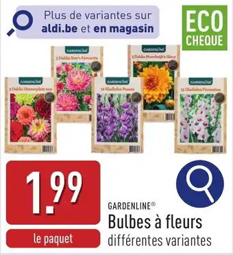 ALDI Gardenline Bulbes à fleurs aanbieding