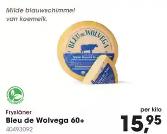 Hanos Fryslâner bleu de wolvega 60+ aanbieding