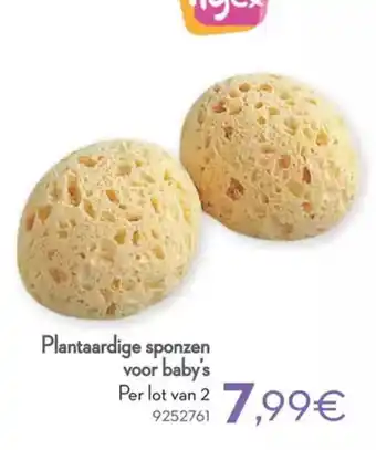 Cora Tigex plantaardige sponzen voor baby's aanbieding