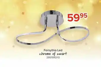 Euroshop Forsythia Led aanbieding