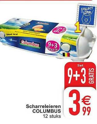 Scharreleieren Columbus