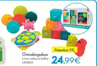 Cora Ontwakingsdoos aanbieding