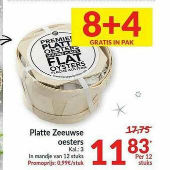 Platte Zeeuwse Oesters