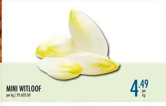 Horeca totaal Mini Witloof aanbieding