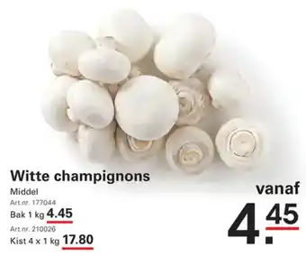 Sligro Witte Champignons aanbieding