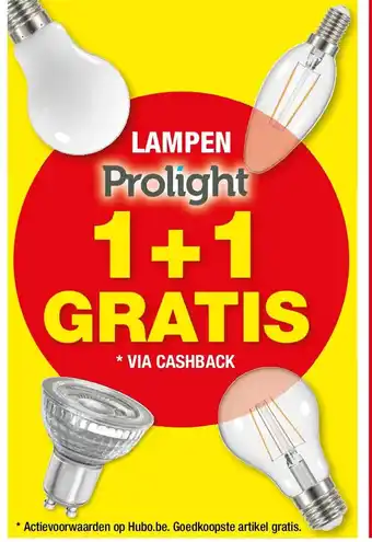 Hubo LAMPEN Prolight aanbieding