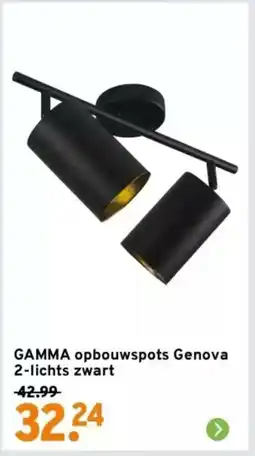 GAMMA GAMMA opbouwspots Genova 2-lichts zwart aanbieding