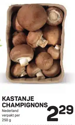 Ekoplaza KastanjeKASTANJE CHAMPIGNONS hampignons aanbieding