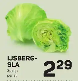 Ekoplaza Ijsbergsla Spanje aanbieding