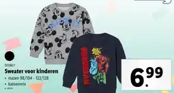 Lidl Sweater voor kinderen aanbieding