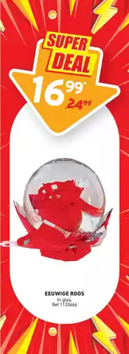 Trafic Eeuwige roos aanbieding