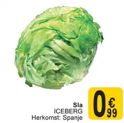 Cora Sla Iceberg Herkomst: spanje aanbieding