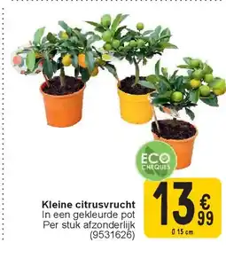 Cora Kleine citrusvrucht aanbieding