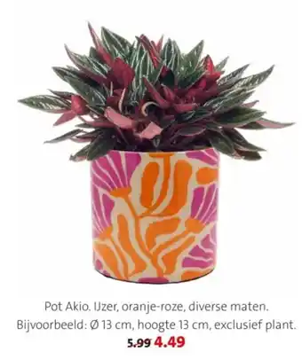 Intratuin Pot Akio. aanbieding