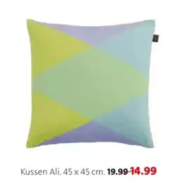 Intratuin Kussen ali aanbieding