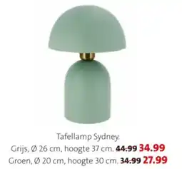 Intratuin Tafellamp Sydney aanbieding