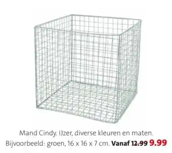 Intratuin Mand Cindy aanbieding