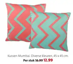 Intratuin Kussen mumbai aanbieding