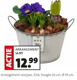 Intratuin Arrangement voorjaar aanbieding