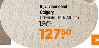 Kwantum Vloerkleed Calgary aanbieding