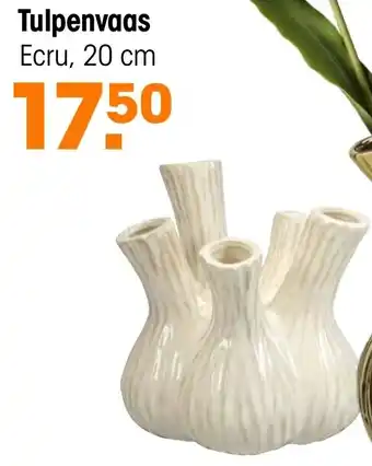 Kwantum Tulpenvaas Ecru aanbieding