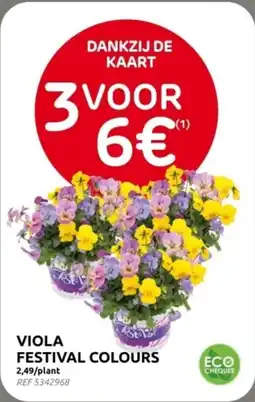 Brico Viola Festival Colours aanbieding