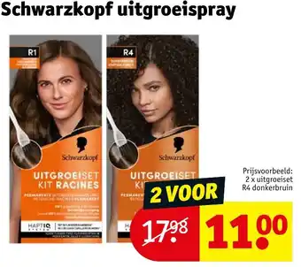 Kruidvat Schwarzkopf uitgroeispray aanbieding