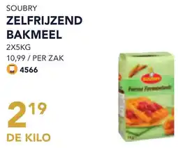 Bidfood Soubry Zelfrijzend Bakmeel aanbieding