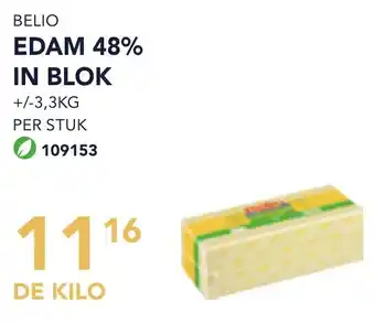 Bidfood Belio edam 48% in blok aanbieding