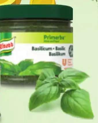 Bidfood Knorr primerba basilicum aanbieding