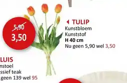 Weba TULIP aanbieding