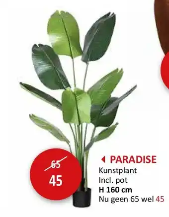 Weba PARADISE aanbieding