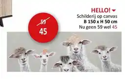 Weba HELLO! aanbieding