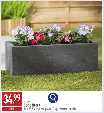 ALDI Belavi bac à fleurs aanbieding