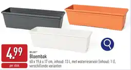 ALDI Belavi Bloembak aanbieding