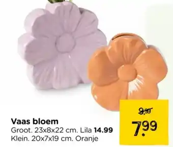 Xenos Vaas bloem aanbieding