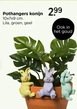 Xenos Pothangers konijn aanbieding