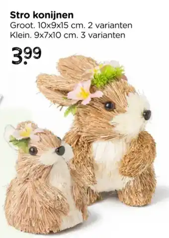 Xenos Stro konijnen aanbieding