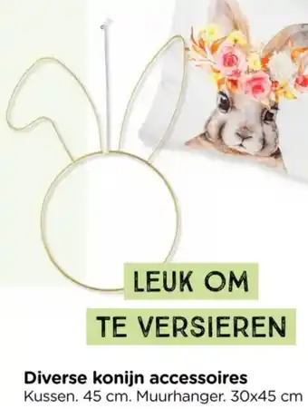 Xenos Diverse konijn accessoires aanbieding