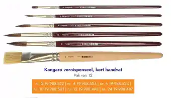 Lyreco Kangaro vernispenseel kort handvat aanbieding