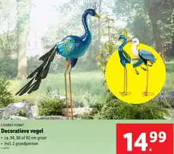 Lidl Livarno home decoratieve vogel aanbieding