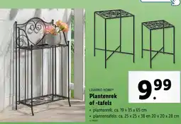 Lidl Livarno home plantenrek of -tafels aanbieding