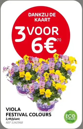 BricoPlanit Viola festival colours aanbieding