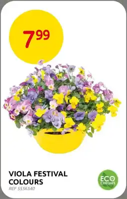 BricoPlanit Viola festival colours aanbieding