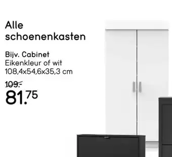 Leen Bakker Alle schoenenkasten aanbieding