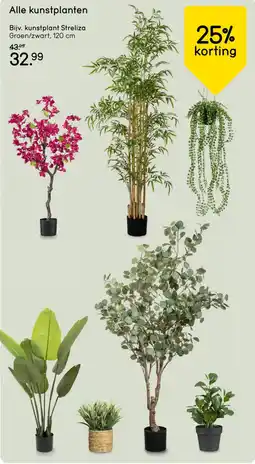 Leen Bakker Alle kunstplanten aanbieding